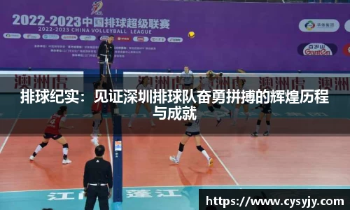 排球纪实：见证深圳排球队奋勇拼搏的辉煌历程与成就