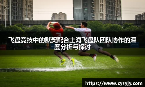 飞盘竞技中的默契配合上海飞盘队团队协作的深度分析与探讨