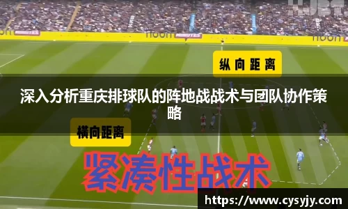 深入分析重庆排球队的阵地战战术与团队协作策略