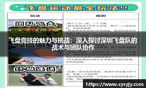 飞盘竞技的魅力与挑战：深入探讨深圳飞盘队的战术与团队协作