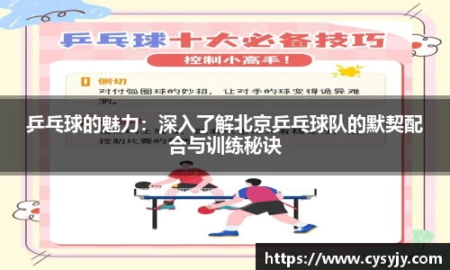 乒乓球的魅力：深入了解北京乒乓球队的默契配合与训练秘诀