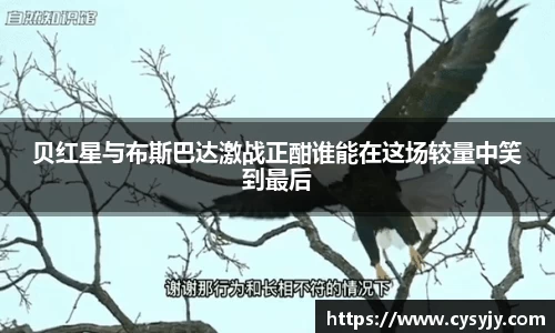 米兰体育